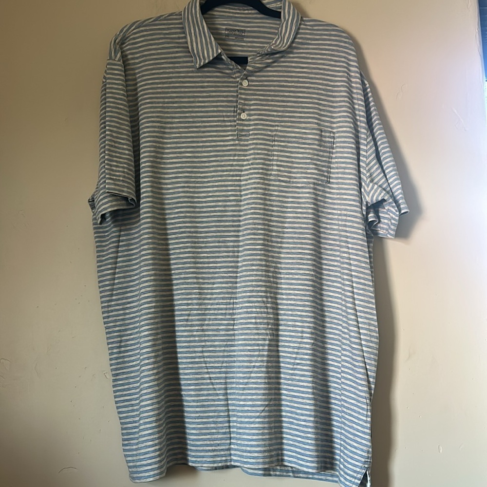 Patagonia Men's Short Sleeve Organic Cotton Polo in Blue and Grey Stripes XXL